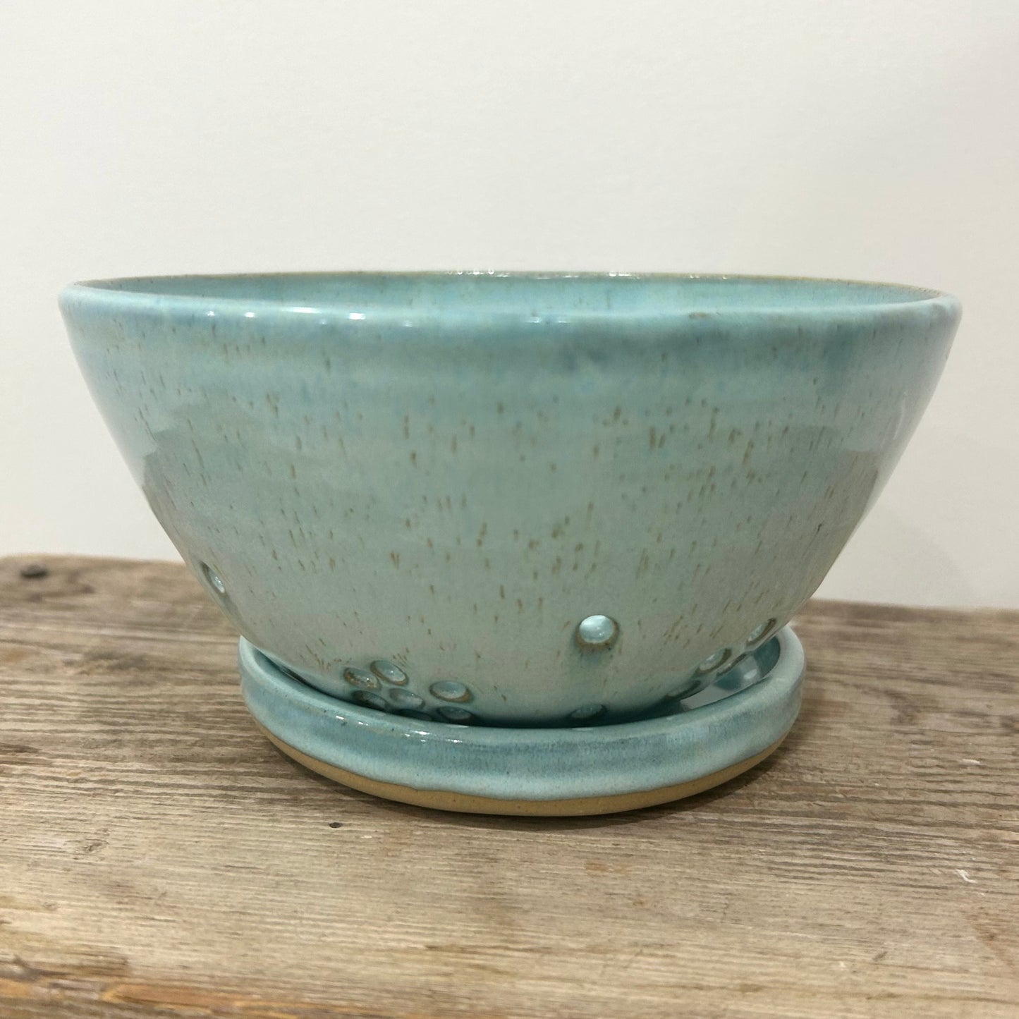 Coastal Teal Berry Bowl