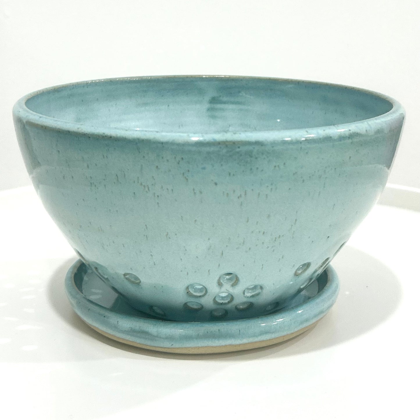 Coastal Blue Berry Bowl