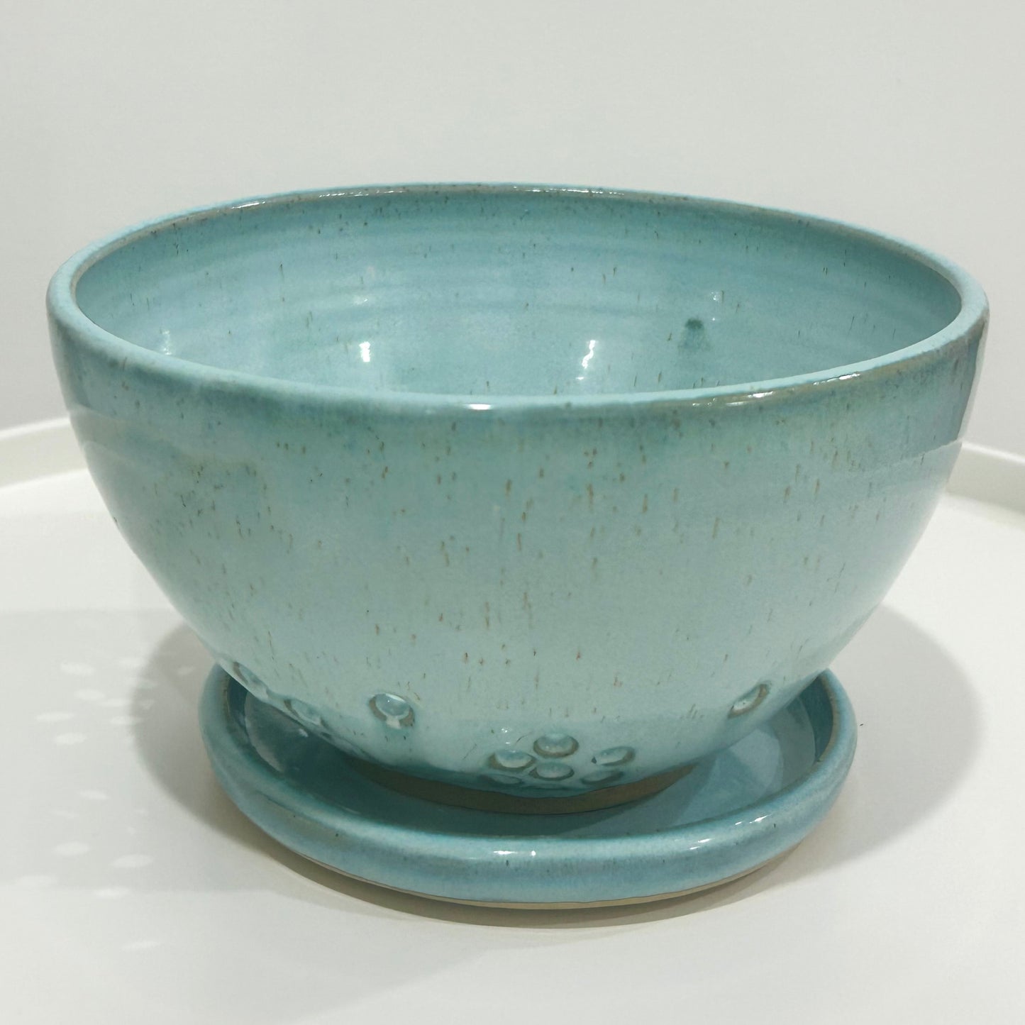 Coastal Teal Berry Bowl