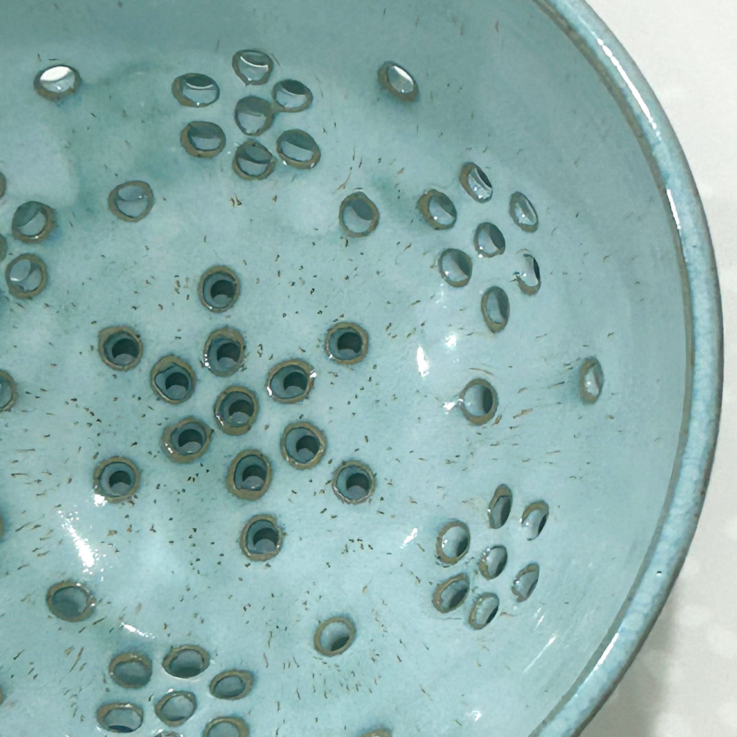 Coastal Teal Berry Bowl