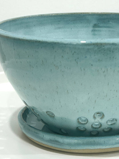 Coastal Blue Berry Bowl